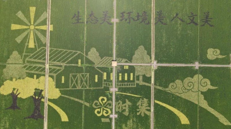 【爱新沂】“E路启程看发展”新沂新媒体走基层